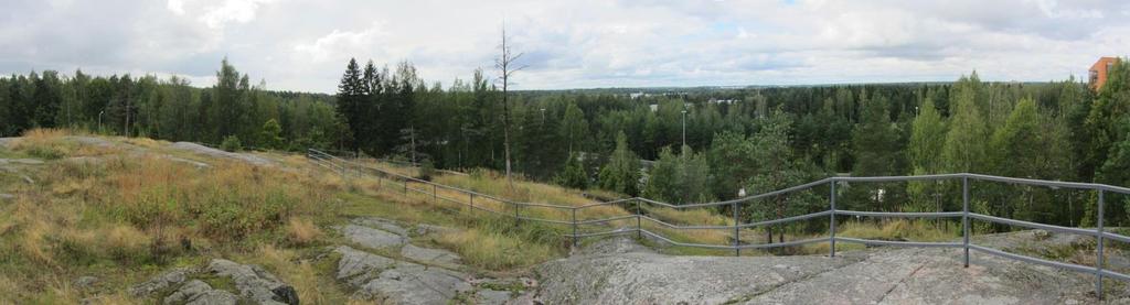 Kasvillisuus Kasvillisuusvalinnat noudattavat Helsingin kaupunkikasviohjetta 1960- ja 1970-lukujen kasveista. Yleisten alueiden puuvartinen lajisto on monipuolista.