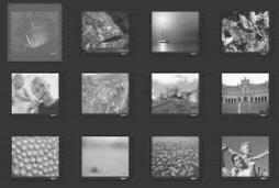 Toisto-ominaisuudet (jatkoa) Toisto eri kuvakulmista (JPEG) Zoom-kuva (JPEG) Voit kiertää kuvaa televisioruudussa toiston aikana painikkeilla.