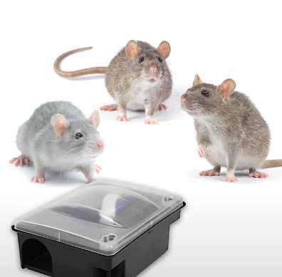 hiirien torjuntaan viemäreissä, sisätiloissa ja ulkotiloissa rakennusten välittömässä läheisyydessä Käyttöohje: hiirille enintään 40