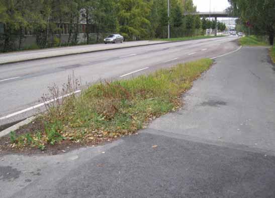 Kontulantien katuviheralueilla on enemmän ongelmia kuin Mellunmäentien
