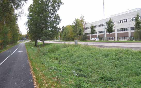 Kuva 26. Heinikko on hyväkuntoinen, mutta se on liian pitkä ja epäsiisti. Katuvihreän inventointikartalla kuva nro 3.