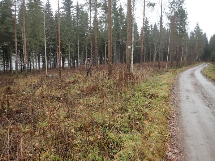 Taustalla näkyvän johtopylvään kohdalla on