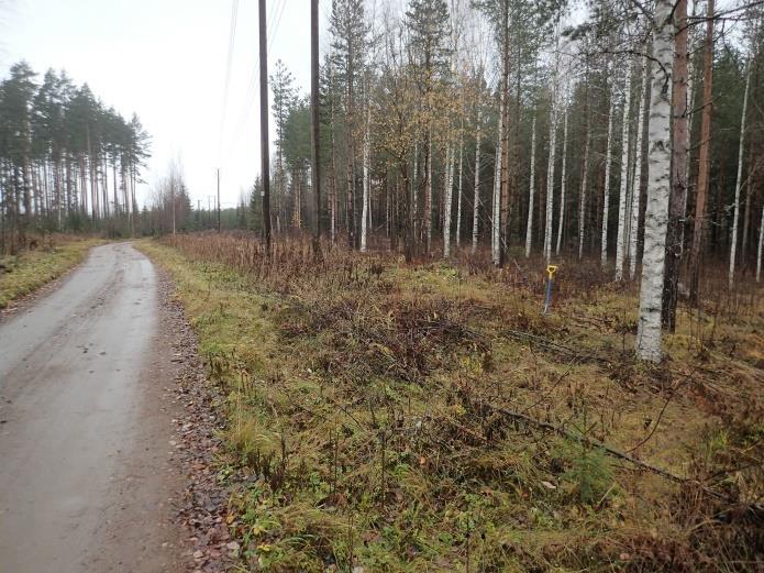 Kasvillisuuden peittoon jäävä pieni