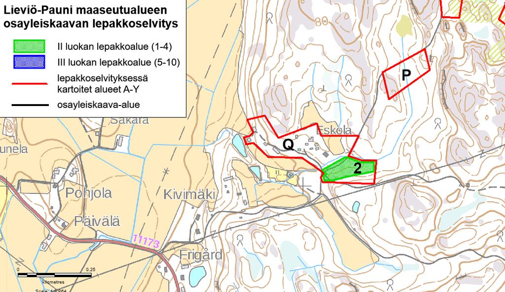 viiksiippasta sekä pohjanlepakosta heinäkuussa ja elokuussa.