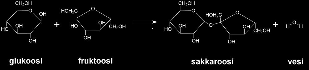 5 Kuva 2: Glukoosin rakenne avoimena ja syklisenä muotona. 10 3.2 Oligosakkaridit Monosakkaridit voivat liittyä toisiinsa, ja näin ollen muodostaa uusia hiilihydraatteja.