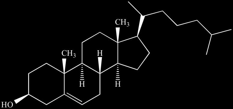 25 esiintyvien hapettimien kanssa ennen kuin ne pystyvät hyökkäämään muiden biomolekyylien kimppuun. K-vitamiini taas säätelee veren hyytymistä.