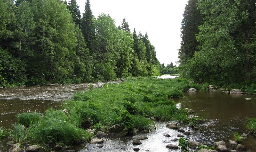 RAPORTTI 29 (49) Erikoiskäytössä olevia avoimia alueita ovat Paloheinänhuipun alueella sijaitsevat niittyalueet sekä golfkenttä. Alueiden vaatimuksena on kulutuskestävyys.