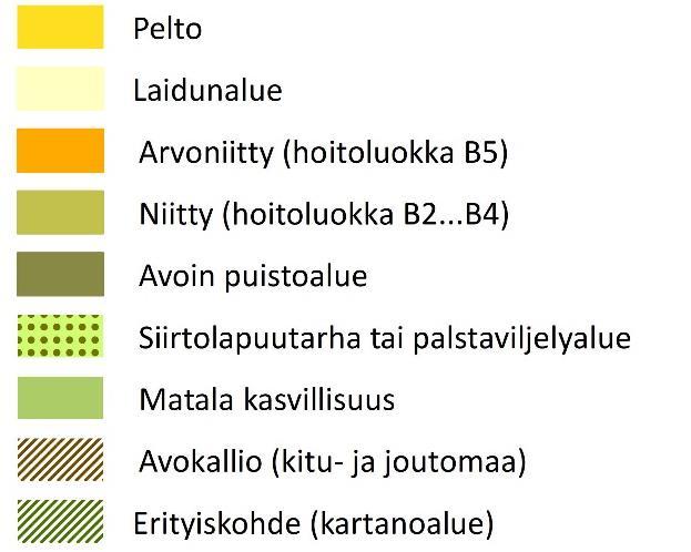 RAPORTTI 31 (49)