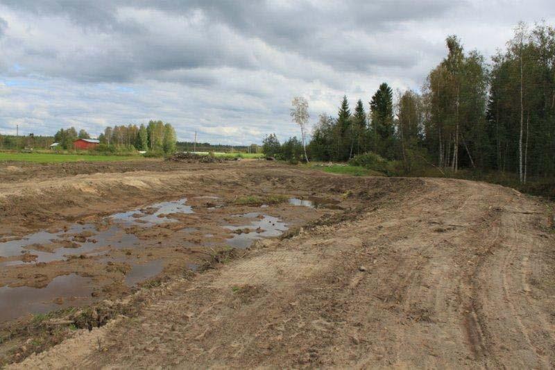 Patovalli toimii kosteikon kiertävänä huoltotienä,