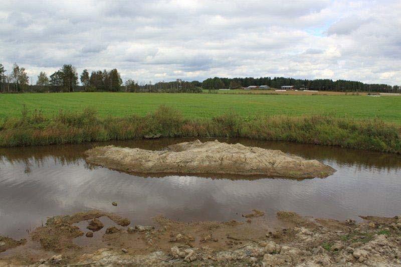 monimuotoisuuden lisäämiseksi kosteikkoon