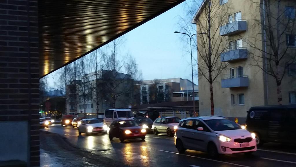 vaihtelevuus,