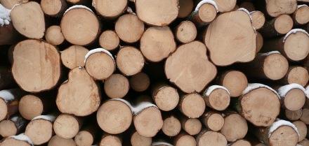 Puukauppapalvelut Puunmyyntisuunnitelmat Valtakirjakaupat Tarjouspyyntö ja tarjousten vertailu