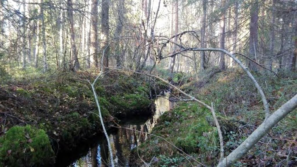 huomioon otettavat seikat. Talomallia valittaessa on syytä varmistaa ennakkoon sen soveltuvuus tontille. Luonnosvaiheessa pääsuunnittelijan on esiteltävä luonnokset rakennusvalvonnassa. 2.