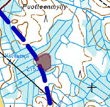 8. Suolampi [NT] Suursarojen ympäröimä pieni lampi, jonka reunoilla kasvavat pullosara, riippasara, vehka ja