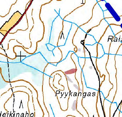 15. Tupasvillaräme (TR) [NT] Rämealue, jossa kasvaa nuoria koivuja sekä hieman kuusia ja mäntyjä. Mättäisyys on voimakasta.