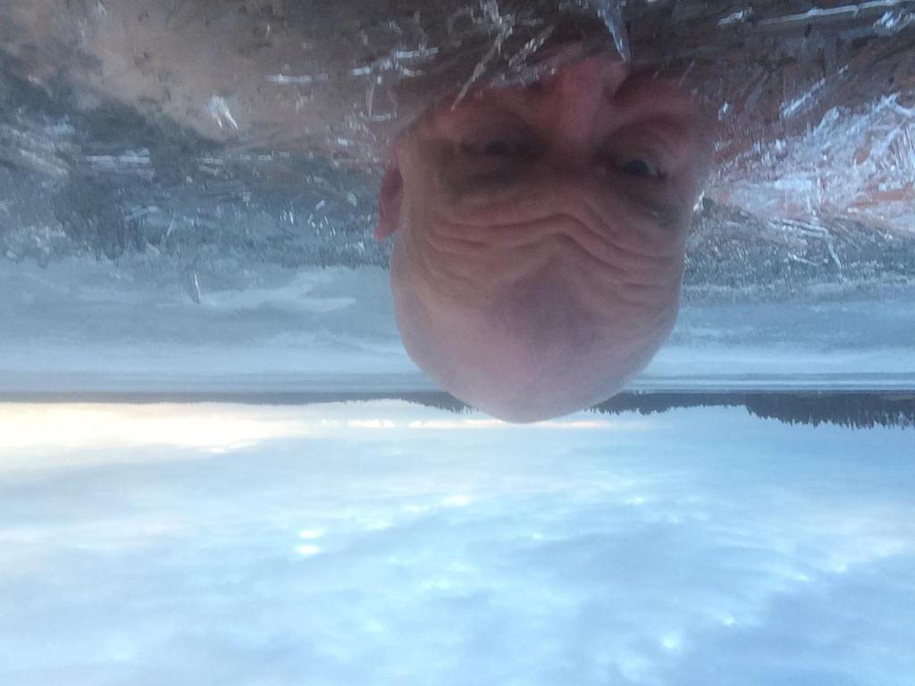 KIITOS! timo.