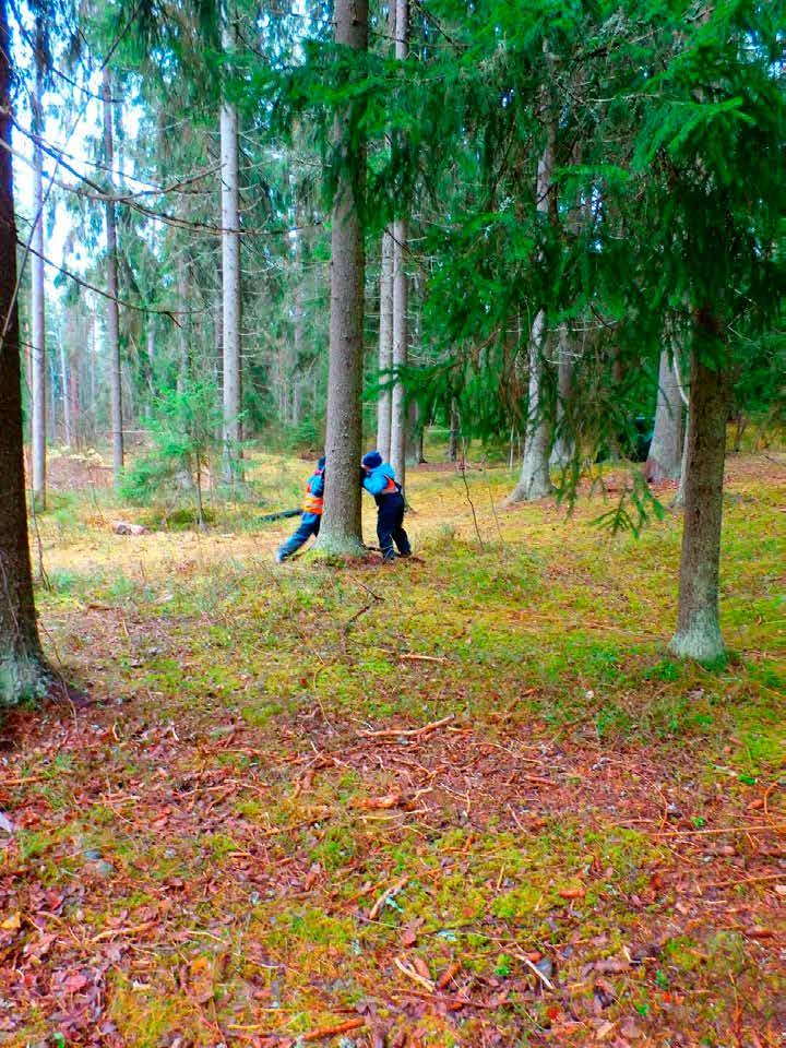31 Tuulia Kannisto, Päiväkoti Haitulat, lastentarhanopettaja Luontoa, liikuntaa ja eskaria Tammelassa Tammelan Päiväkoti Haituloiden luonto-ja liikuntaryhmä Ilveksissä vietetään tavallista touhukasta