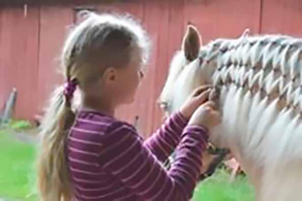 Sosiaalipedagogista hevostoimintaa Anun arkissa 59 Anu Virtanen Hevostoiminnassa asiakkaan huomio ohjautuu hevoseen, tekemiseen ja vuorovaikutukseen, jolloin haasteellisten asioiden harjoittelu voi