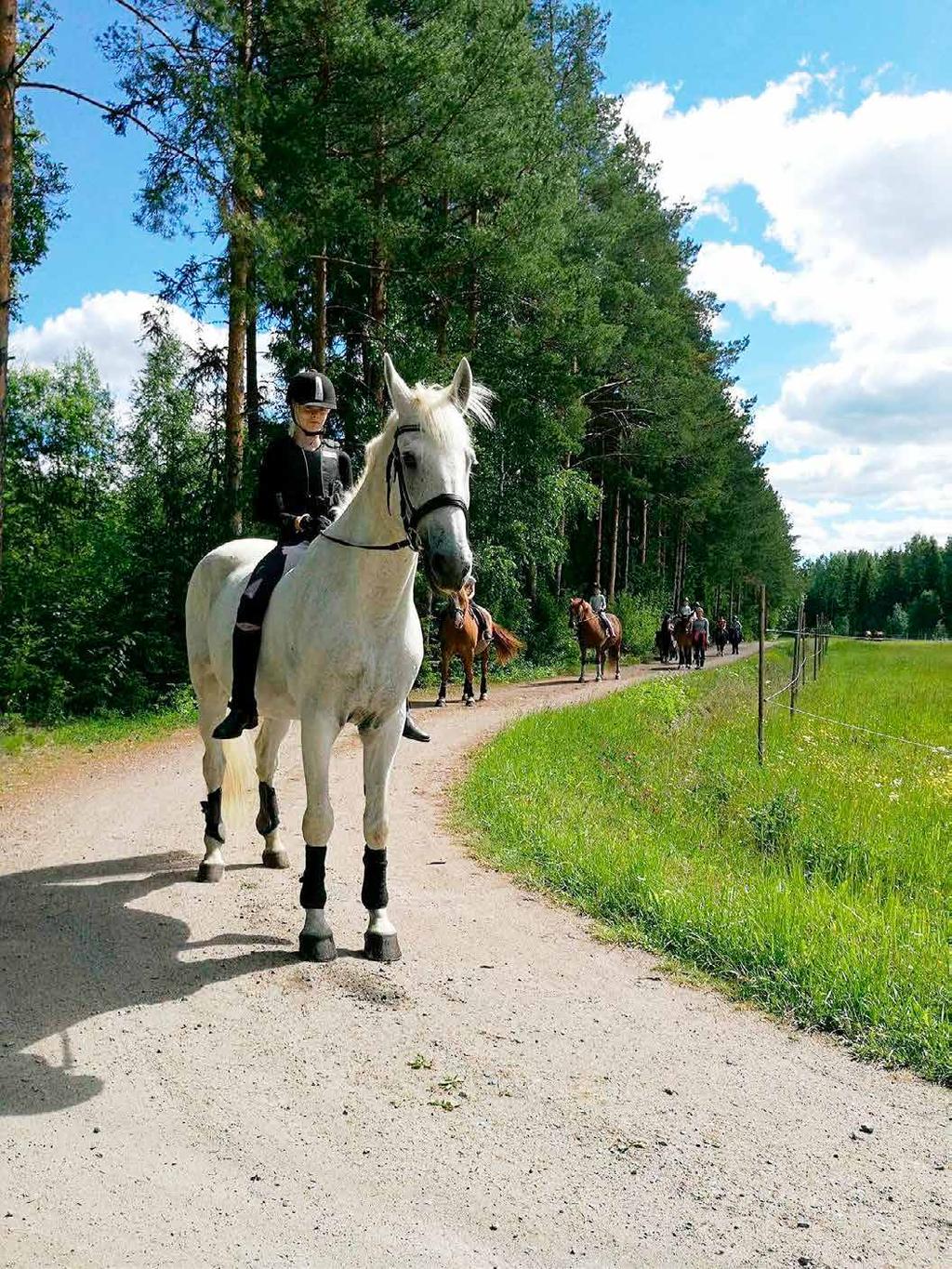 74 Luonnosta avaimet lasten ja