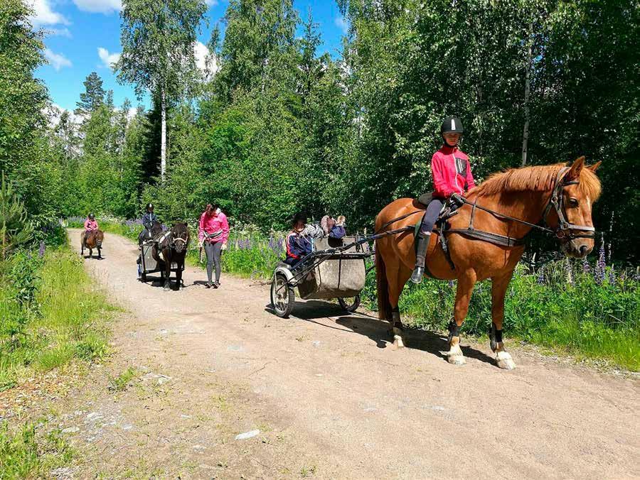 76 Luonnosta avaimet lasten ja nuorten kasvuun ja kehitykseen Retkikohde päiväkodeille ja koululaisryhmille Olemme Similän ratsastuskoulun liikuntapalveluiden lisäksi tarjonneet ratsastuskoulua