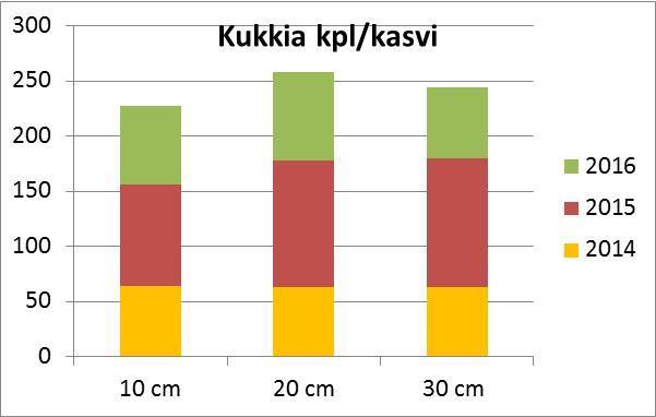 Harju 2014 2015 2016 10 cm 64