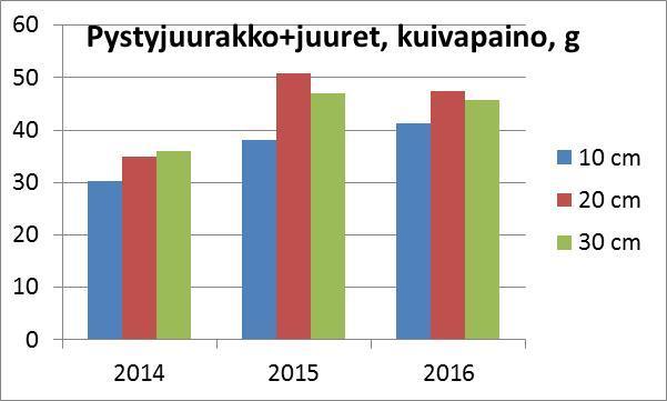 Harjuissa juurakoissa enemmän haaroja, juurakon ja juurien massa suurempi Myös lehtien ja