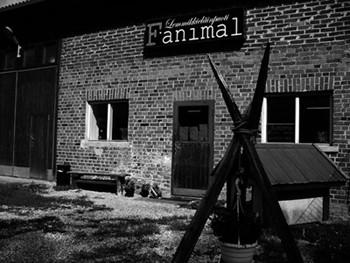 O/y F-animal Lemmikkieläinpuoti Järvenpää Sähkö-osoite: fanimal.puoti@gmail.com Puhelin:0451197009 Lemmikkieläinpuoti myymälä sekä tuotanto Toiminta ja tarkoitus. O.Y.