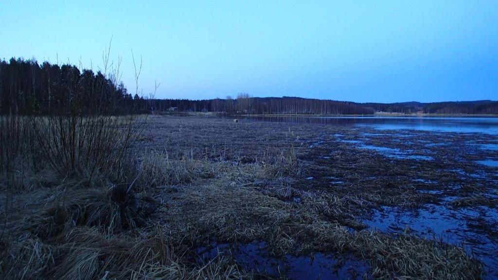 elinympäristöksi (Kuva 19). Luhtaisen rannan eteläpuolelle sijoittuu venesatama.