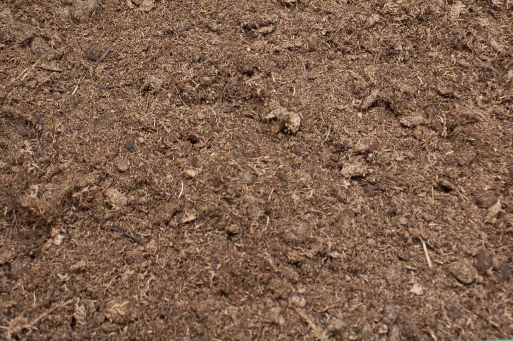 Biolan Kylvö- ja Taimimulta Itäneisyys: 93% (ka. 94%) Itämisaika: n. 7vrk (ka. n. 7vrk) Aika kylvöstä sirkkalehtiin: n.10vrk (ka. n. 10vrk) Huomioita: Siementen idättäminen kasvualustan pinnalla johti juurten huonoon tunkeutumiseen kasvualustan sisään.