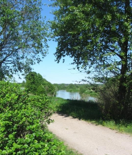 metsämäiset saarekkeet, puurivit, yksittäiset puut tai puuryhmät sekä vesiuomat. Tavoitteet: Aluetta hoidetaan maisemapeltona, maisemaniittynä, laitumena, ketona tms.