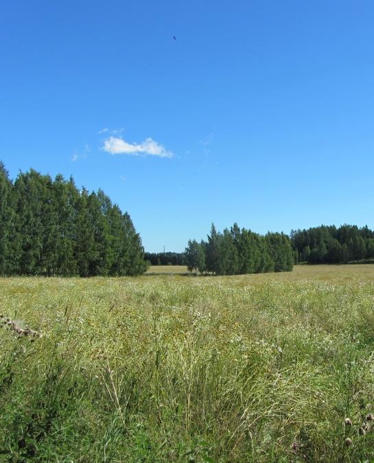 Alueella liikkuminen tapahtuu kapeahkoilla teillä ja kevyen liikenteen väylillä, joiden pinta on pääosin sitomaton.