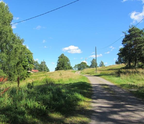 Keskuspuiston metsäalueelta Vantaanjokeen virtaavan Näsinoja Tuomarinkylänojan uoma on syvä. Uomassa on oma pienilmasto, jossa valitsee ojan lähiympäristöstä poikkeavat kasvuolosuhteet.