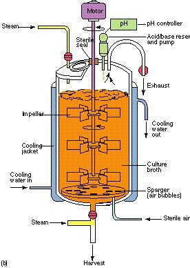Fermentointi Tarkalleen ottaen bioreaktorikasvatus (fermentointi on anaerobinen bioreaktiokasvatus) Submerssifermentointi (= nesteessä) Panos-, fed-batch- tai jatkuva toteutus Jokainen panos vaatii