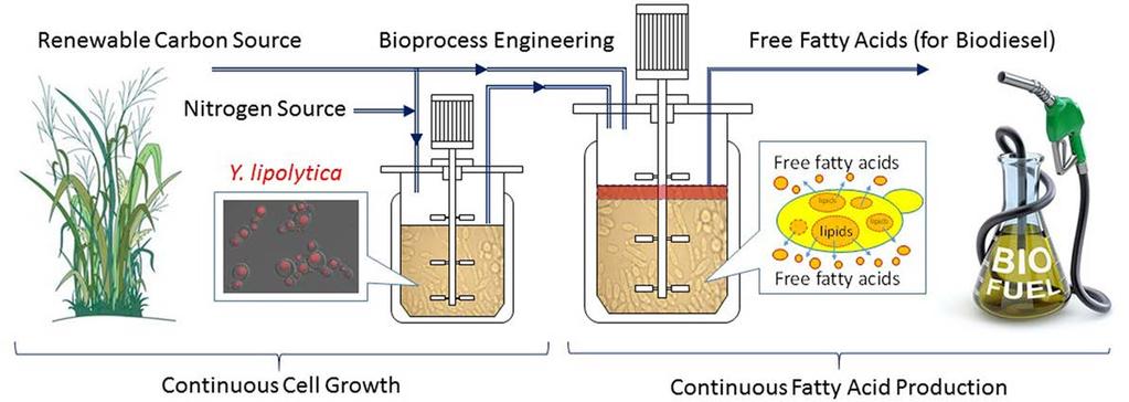Jatkuvatoiminen biodieselin tuontantoperiaate A conceptual continuous fatty acid-based