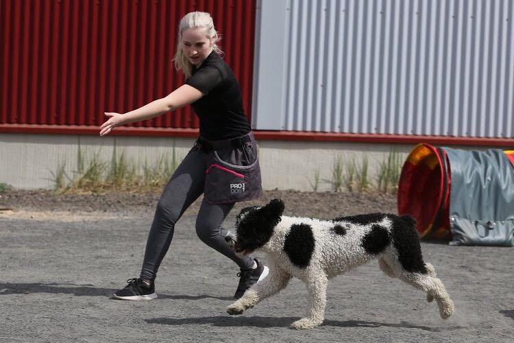 KIITOS!