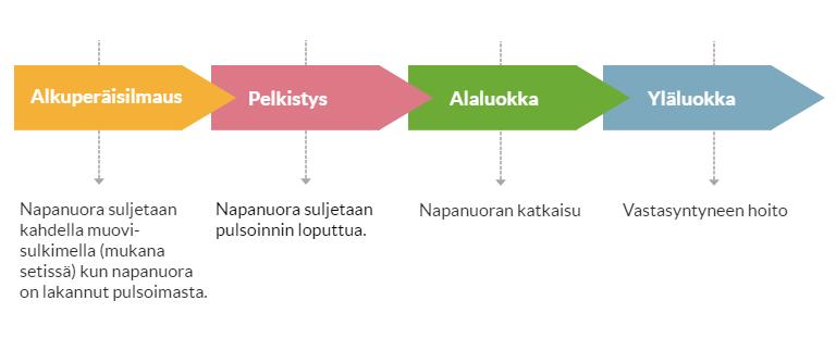 17 kirjoittamiseen käytimme hoitotyön ja lääketieteen kirjallisuutta ja haimme tieteellisiä tutkimuksia Medicistä, Cinahlista, PubMedistä, Cochranesta ja Terveysportista. 5.