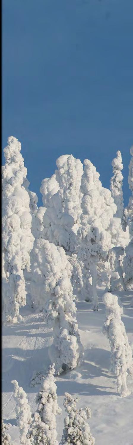 Erityistä Kuusamossa nyt Kosket ja joet Metsät ja järvet Puut ja metsät (laatupuu) Suojelualueet (Oulanka, monet vaarat) Rukaa ei ole missään