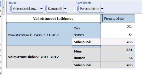 Rivit laatikkoon voidaan lisätä uusia kokonaisia dimensioita tai dimension osia. Tilasto laajenee näyttämään aiemmat toteumat toisen dimension osiin jaettuna.