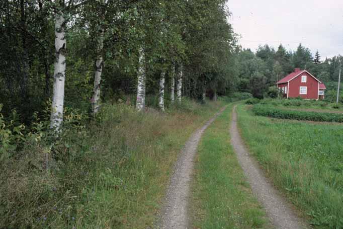 Hoito: Pientareen kasvillisuutta voi niittää, mikä runsastuttaa kukkivien ruohojen määrää. Vanhan kiviaidan ympärystän raivaaminen tuo aidan ja rauniot esiin.