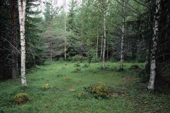 Hoito: Puiden taimien raivaaminen säilyttää niityn avoimena. Kenttäkerroksen monipuolinen kasvisto säilyy parhaiten laiduntamalla tai niittämällä. Sopiva tukimuoto: Perinnebiotooppien hoito.