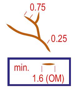 3.1. Maanpinnan muodot ISOM2017 107 Uurre Jyrkkäreunainen kapea irtomaarinteinen uoma, jota ei mahdu kuvaamaan irtomaarinteenä (symboli 104). Minimisyvyys 1 m. Minimipituus 1.6 mm (maastomitta 24 m).