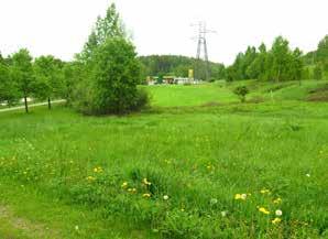MYYRMÄKI 1.32 Muuripuisto Tunnus 0126-003 B3 ja B4 Pinta-ala B3: 1 243 m 2, B4: 798 m 2 Kaavamerkintä AK: VL Luonto- ja maisema-arvot Avoin maisematila. Näkyvyys tiemaisemassa.