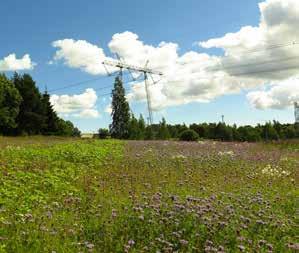 MYYRMÄKI 1.