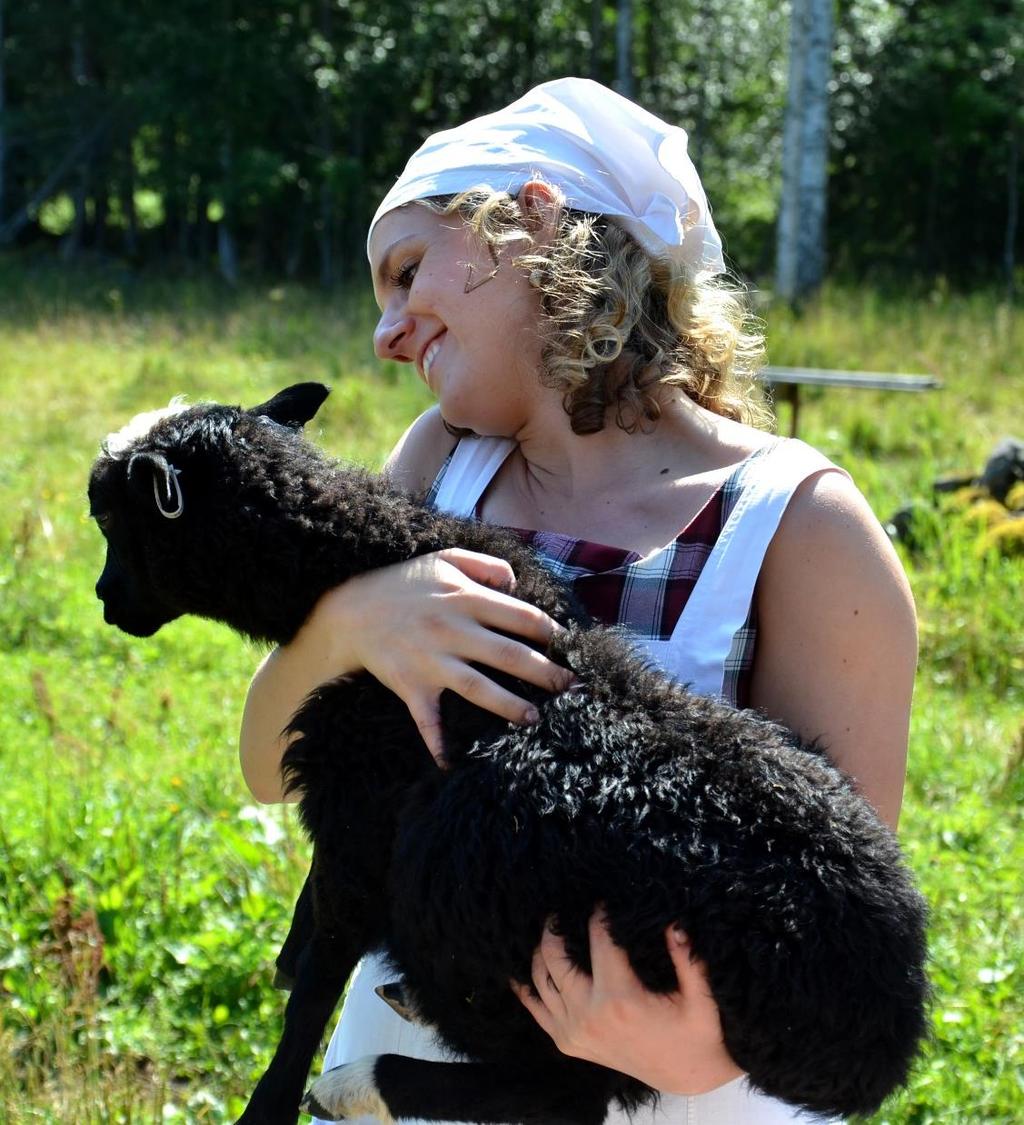 Kuva: Tapani Mikkola / Metsähallitus Maisema, lajisto, lampuri ja paimen hyötyvät Maisema hyötyy - lammaspaimenviikot kohteita, joita ei muulla tapaa pystyttäisi hoitamaan.