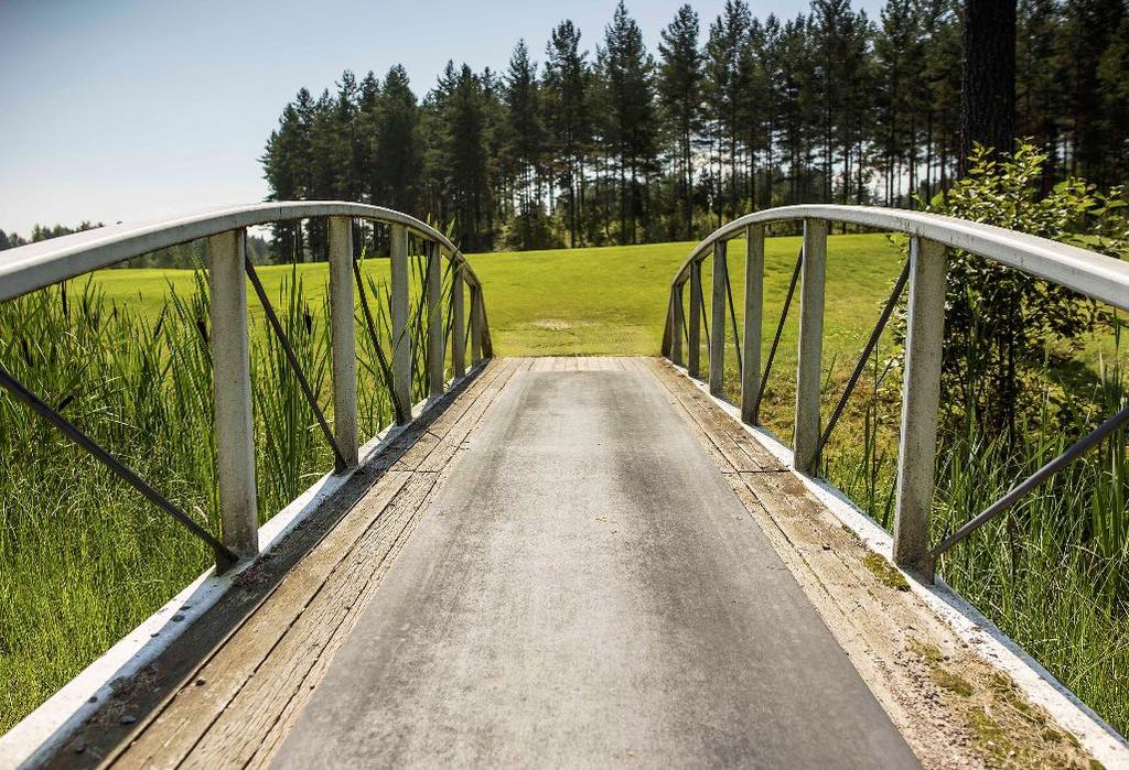 Pelaaminen Kauden aikana voidaan jatkaa kokeiluja pelaamiseen liittyvissä järjestelyissä. Osakkaiden pelaamisvaihtoon liittyvää yhteistyötä jatketaan Pickala Golfin, St.