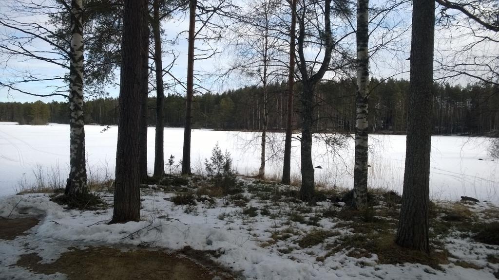 laituri, avanto talveksi - n. 10-15t SUVANNONLAHTI n.
