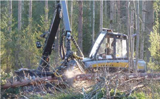 Poimintahakkuu Eri ikäisrakenteisen metsän hakkuu ja hoitotapa Ylläpidetään ja kehitetään eri ikäisrakennetta poistetaan suurimpia puita poistetaan myös