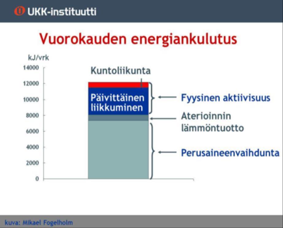 VUOROKAUDEN ENERGIANKULUTUS (KUNTOILIJALLA TAI LEPOPÄIVÄNÄ) Kestävyysurheilijalla fyysisen aktiivisuuden osuus voi olla > 50 % vuorokauden