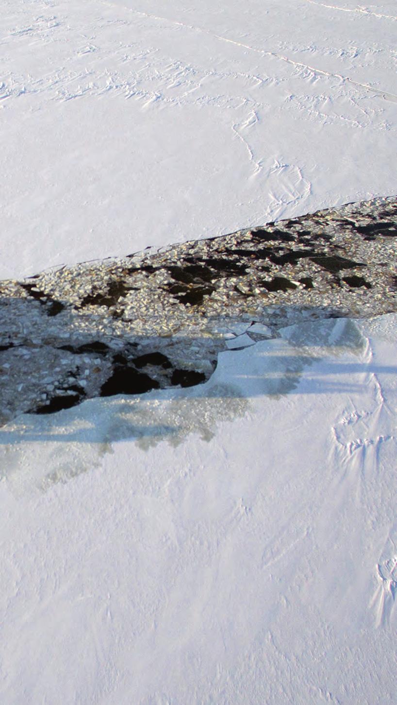 vaiheessa. Uusille arktisille aluksille tulee silloin kysyntää.