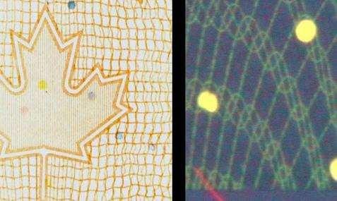 Fluoresoivat valorakenteet (Hi-Lites) Fluoresoivat plansetit Painatusmateriaali ei sisällä optisia kirkasteita Fluoresoivat plansetit 134 Fluoresoivat plansetit näkyvät UV-valossa.